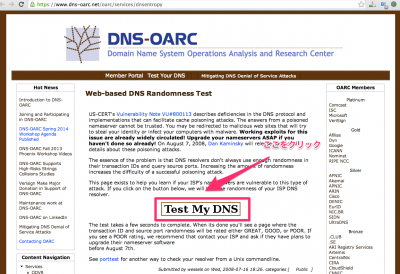 Web-based_DNS_Randomness_Test___DNS-OARC