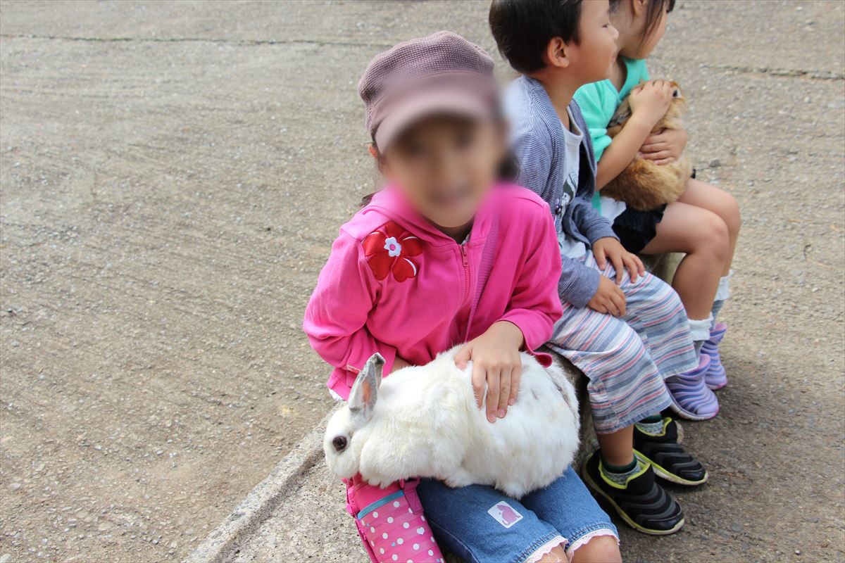 福島県の磐梯南ヶ丘牧場のウサギを抱っこ