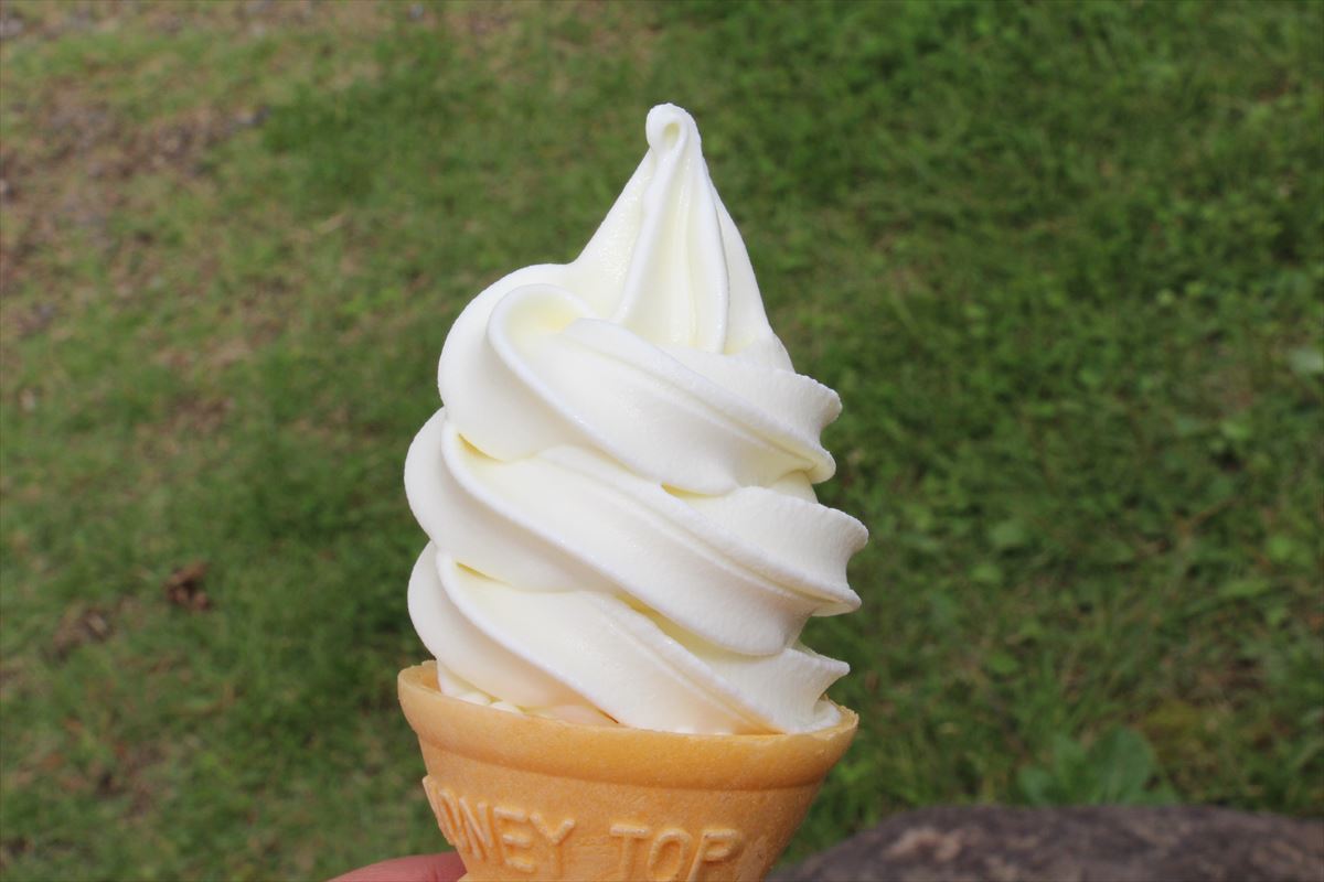 福島県の磐梯南ヶ丘牧場のガーンジィ牛乳ソフトクリーム